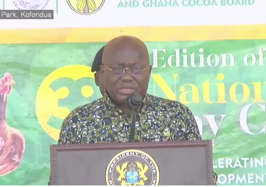 Akufo-Addo speaks on IMF bailout and economic management